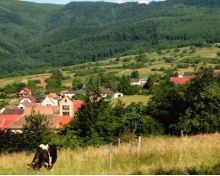 Sentier des Sols Osenbach